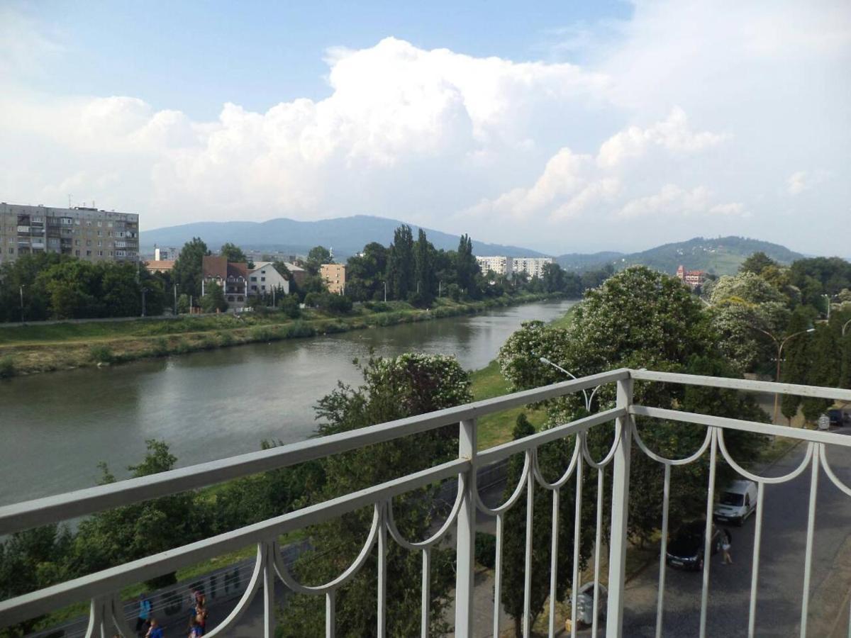 Apartments Domovik Просторная Квартира С Видом На Горы Mukacheve Exterior photo